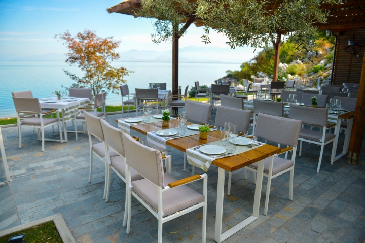 Detyrim i ri për baret, restorantet-hotelet: Për çdo karrige në trotuar do të mbillet një pemë